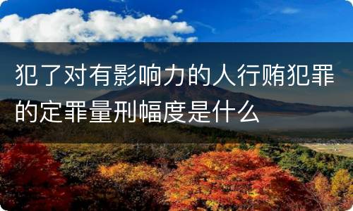犯了对有影响力的人行贿犯罪的定罪量刑幅度是什么