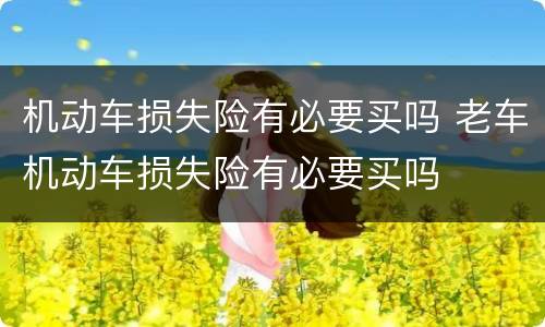 机动车损失险有必要买吗 老车机动车损失险有必要买吗