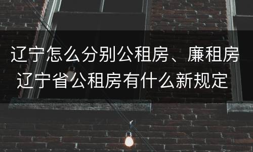 辽宁怎么分别公租房、廉租房 辽宁省公租房有什么新规定