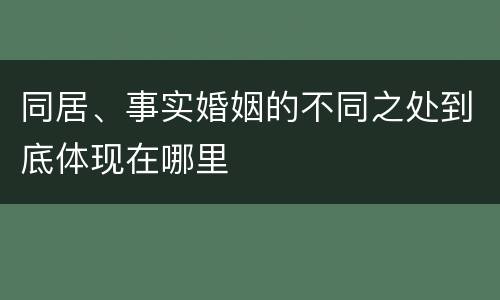 同居、事实婚姻的不同之处到底体现在哪里
