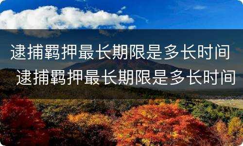逮捕羁押最长期限是多长时间 逮捕羁押最长期限是多长时间内