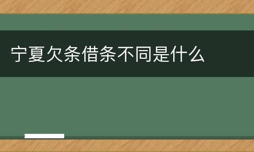 宁夏欠条借条不同是什么
