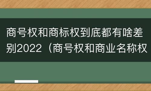 商号权和商标权到底都有啥差别2022（商号权和商业名称权）