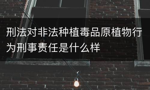 刑法对非法种植毒品原植物行为刑事责任是什么样
