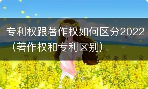 专利权跟著作权如何区分2022（著作权和专利区别）