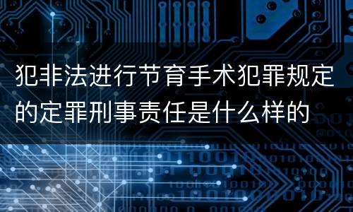犯非法进行节育手术犯罪规定的定罪刑事责任是什么样的