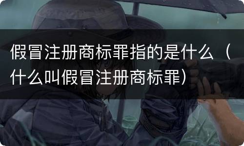 假冒注册商标罪指的是什么（什么叫假冒注册商标罪）