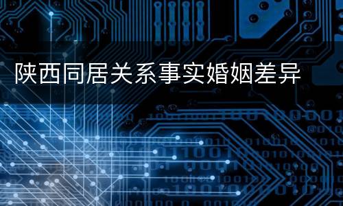 陕西同居关系事实婚姻差异