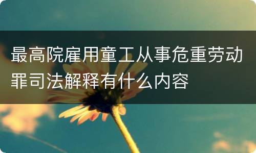 最高院雇用童工从事危重劳动罪司法解释有什么内容