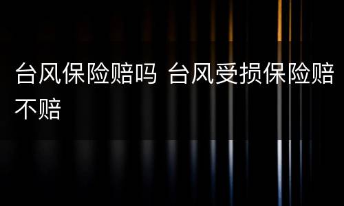台风保险赔吗 台风受损保险赔不赔