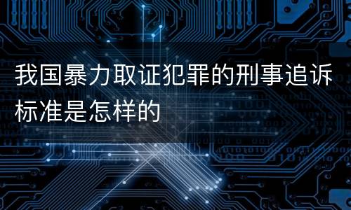 我国暴力取证犯罪的刑事追诉标准是怎样的