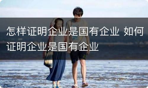 怎样证明企业是国有企业 如何证明企业是国有企业