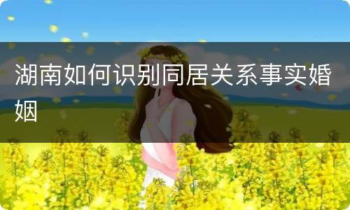 湖南如何识别同居关系事实婚姻