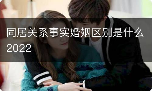 同居关系事实婚姻区别是什么2022