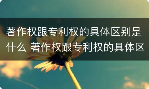 著作权跟专利权的具体区别是什么 著作权跟专利权的具体区别是什么意思