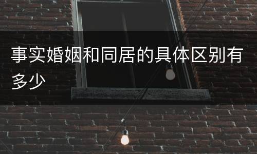 事实婚姻和同居的具体区别有多少