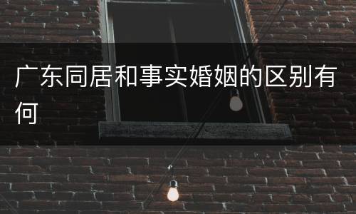 广东同居和事实婚姻的区别有何