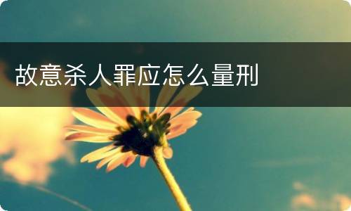 故意杀人罪应怎么量刑