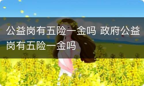 公益岗有五险一金吗 政府公益岗有五险一金吗
