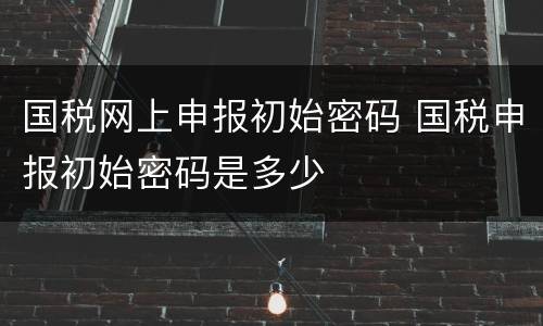国税网上申报初始密码 国税申报初始密码是多少