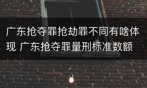 广东抢夺罪抢劫罪不同有啥体现 广东抢夺罪量刑标准数额