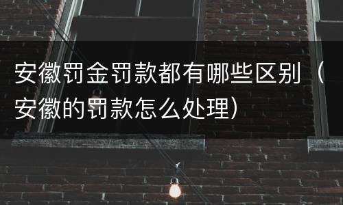 安徽罚金罚款都有哪些区别（安徽的罚款怎么处理）
