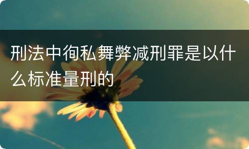 刑法中徇私舞弊减刑罪是以什么标准量刑的