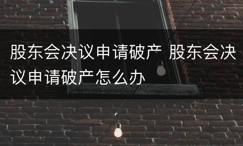 股东会决议申请破产 股东会决议申请破产怎么办