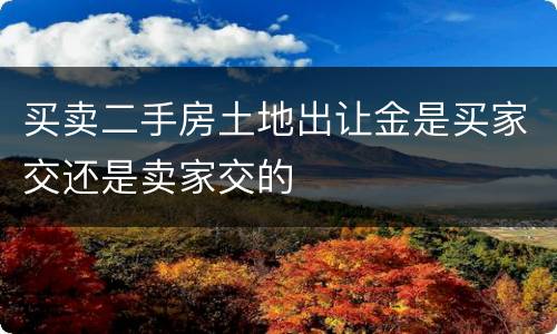买卖二手房土地出让金是买家交还是卖家交的