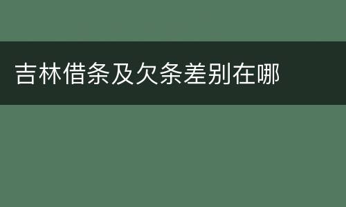 吉林借条及欠条差别在哪