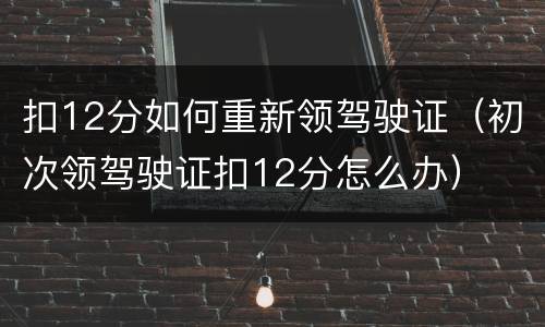 扣12分如何重新领驾驶证（初次领驾驶证扣12分怎么办）