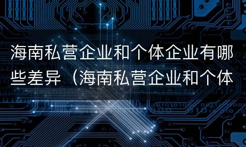 海南私营企业和个体企业有哪些差异（海南私营企业和个体企业有哪些差异呢）