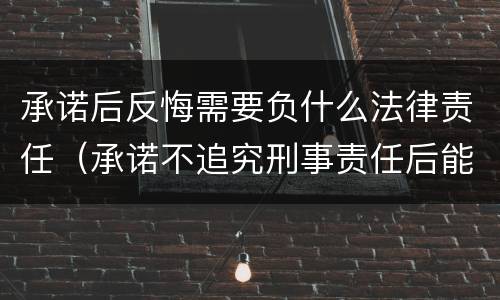 承诺后反悔需要负什么法律责任（承诺不追究刑事责任后能反悔吗）