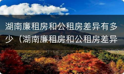 湖南廉租房和公租房差异有多少（湖南廉租房和公租房差异有多少个）