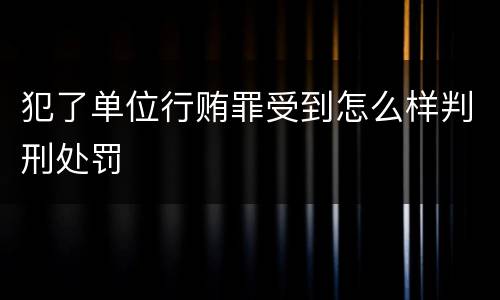 犯了单位行贿罪受到怎么样判刑处罚