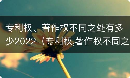 专利权、著作权不同之处有多少2022（专利权,著作权不同之处有多少2022规定）