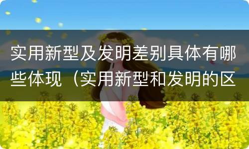 实用新型及发明差别具体有哪些体现（实用新型和发明的区别）