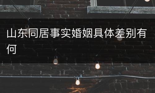 山东同居事实婚姻具体差别有何