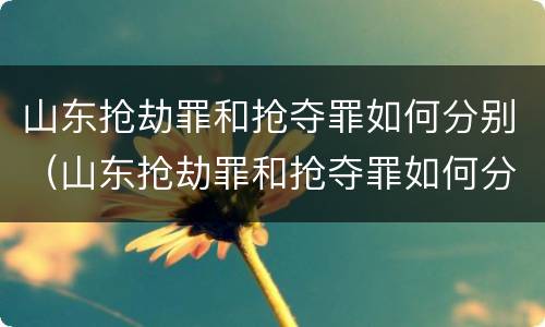 山东抢劫罪和抢夺罪如何分别（山东抢劫罪和抢夺罪如何分别认定）