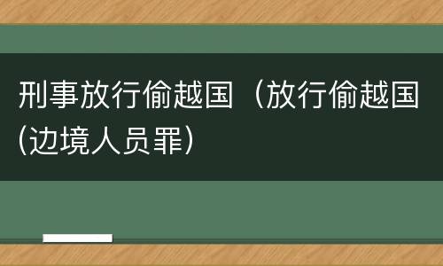 刑事放行偷越国（放行偷越国(边境人员罪）