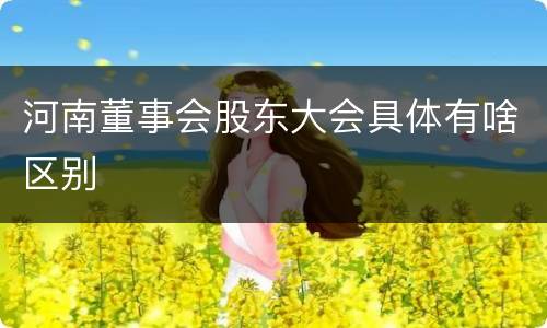 河南董事会股东大会具体有啥区别