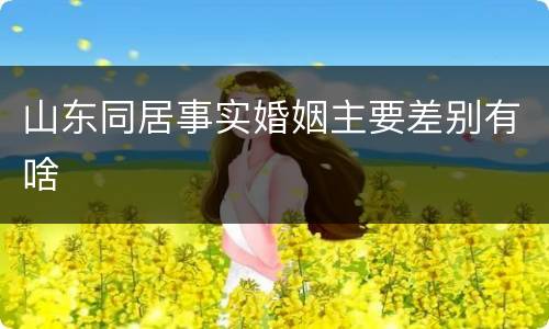 山东同居事实婚姻主要差别有啥