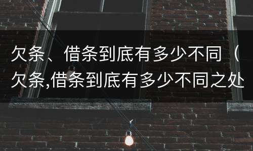 欠条、借条到底有多少不同（欠条,借条到底有多少不同之处）