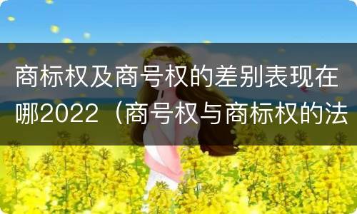 商标权及商号权的差别表现在哪2022（商号权与商标权的法律冲突与解决）