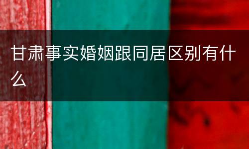 甘肃事实婚姻跟同居区别有什么