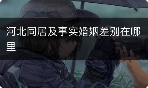 河北同居及事实婚姻差别在哪里