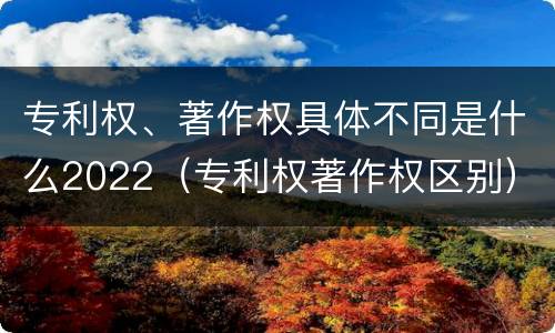 专利权、著作权具体不同是什么2022（专利权著作权区别）