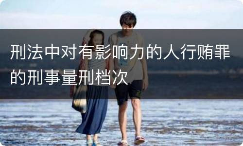 刑法中对有影响力的人行贿罪的刑事量刑档次