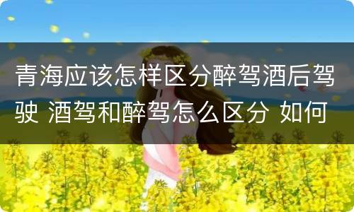 青海应该怎样区分醉驾酒后驾驶 酒驾和醉驾怎么区分 如何判定酒驾和醉驾