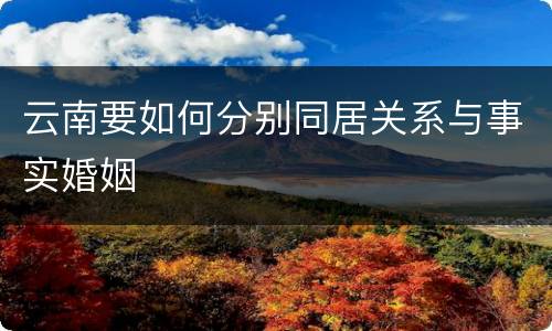 云南要如何分别同居关系与事实婚姻